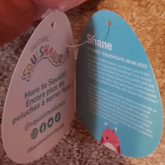 🔥RARE - Silver Tag‼️ Squishmallows Shane the Grasshopper - Picture 5 of 8
